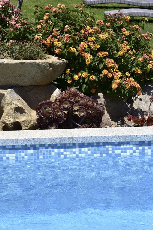 Affittacamere B&B La Villa Dei Graniti فيلاّسيمِيوس المظهر الخارجي الصورة