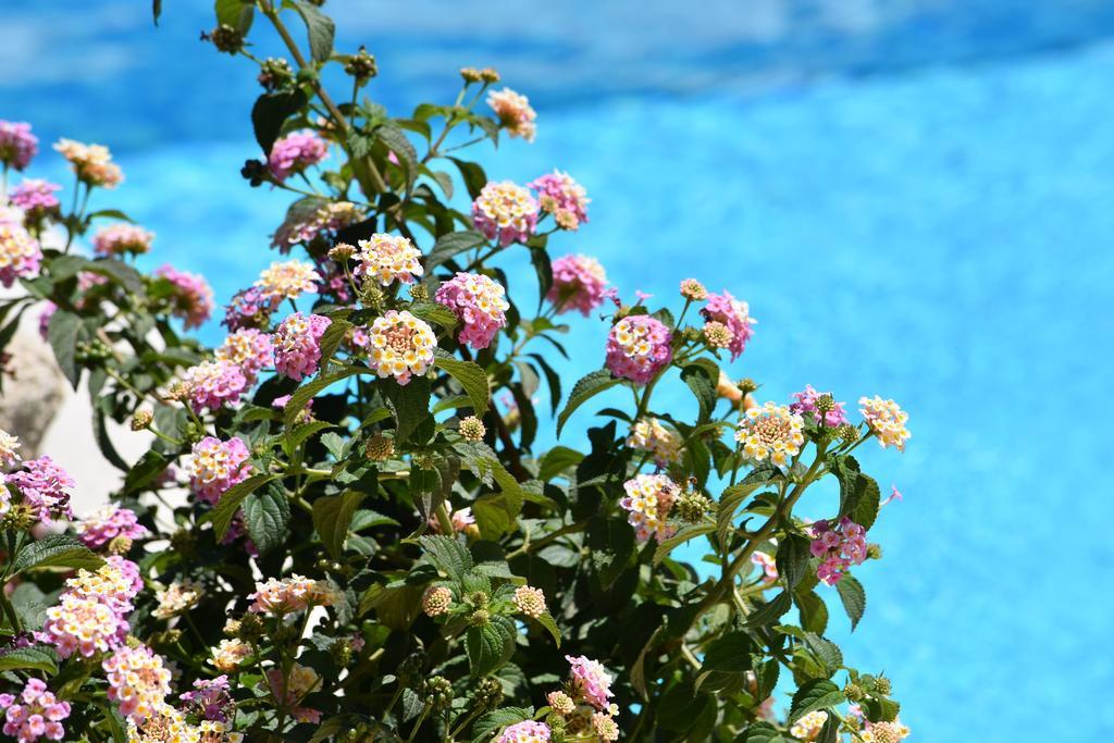 Affittacamere B&B La Villa Dei Graniti فيلاّسيمِيوس المظهر الخارجي الصورة